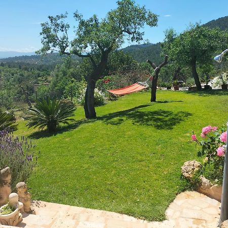 Villa Sa Teulera Etv7398 Аларо Екстер'єр фото